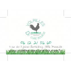 10 000 Cartes de visite standard